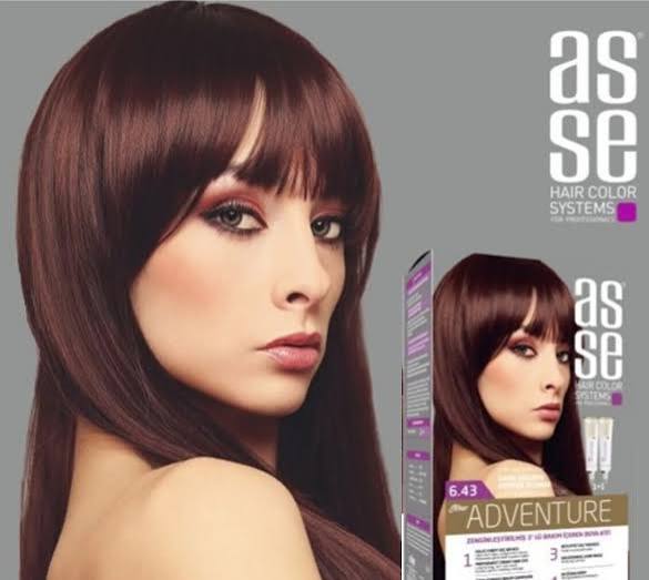 رنگ مو ASSE شماره 6.43